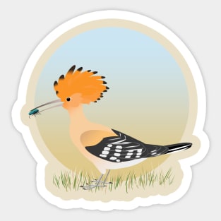 Hoopoe Sticker